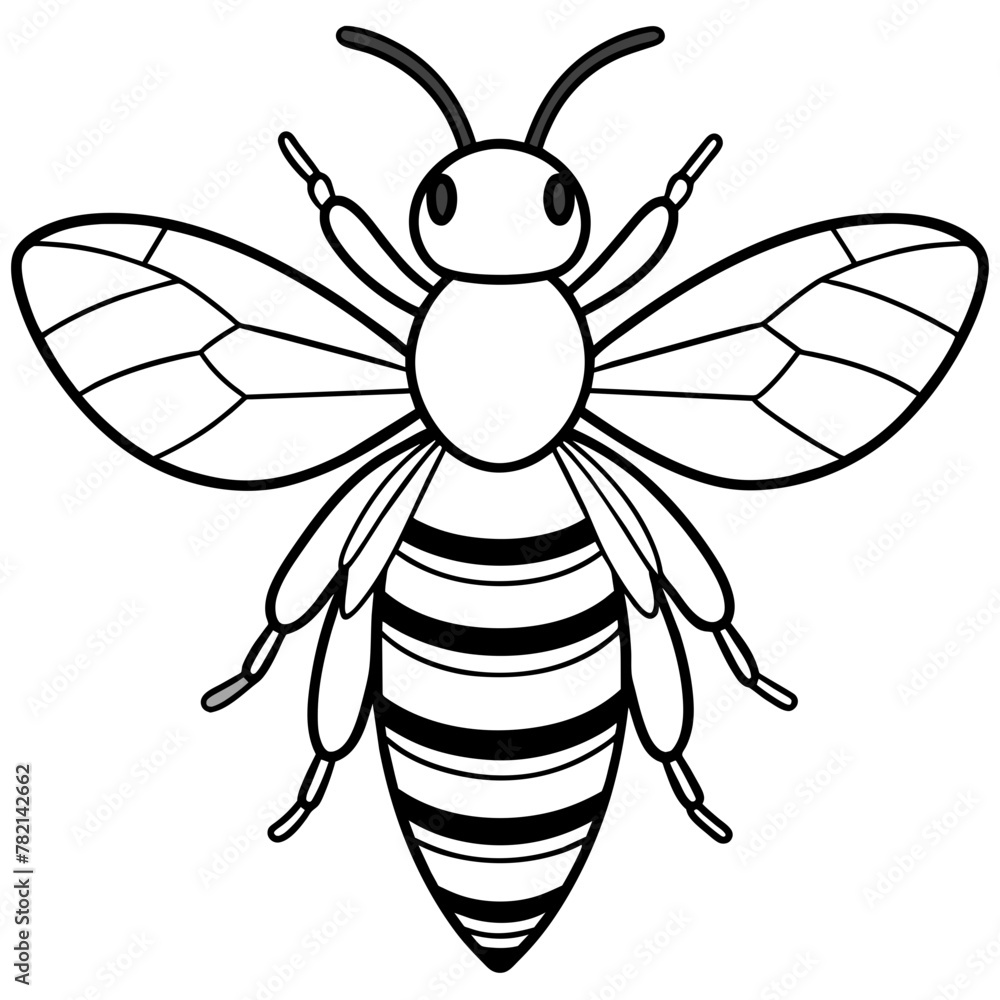 Asian giant hornet bee vector illustration.
Asian giant hornet bee vector illustration.