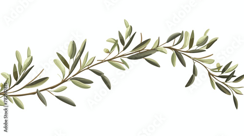 Sketch element. Olive branches isolated. Vector han © Mishi