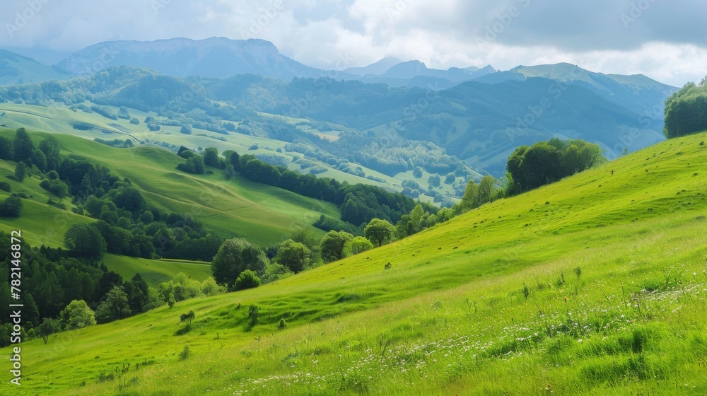 Naklejka premium Lush Green Hillside With Mountains in Background