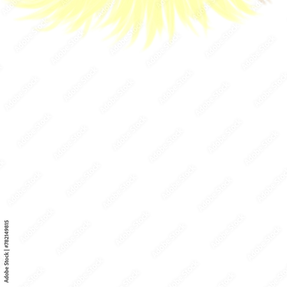 Fototapeta premium Brush 