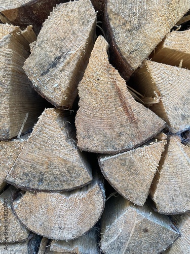 Wallpaper Mural wooden logs stacked in a pile Torontodigital.ca