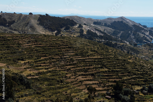 Close up of hill with terraces on Isla Del Sol in Bolivia