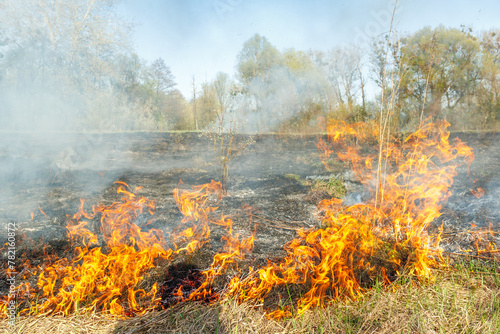 Dry grass is burning on a meadow in the countryside. A wild fire burns dry grass in a field. Orange flames and plumes of smoke. Open fire. Nature is on fire. Danger and disaster. © Chmutphoto