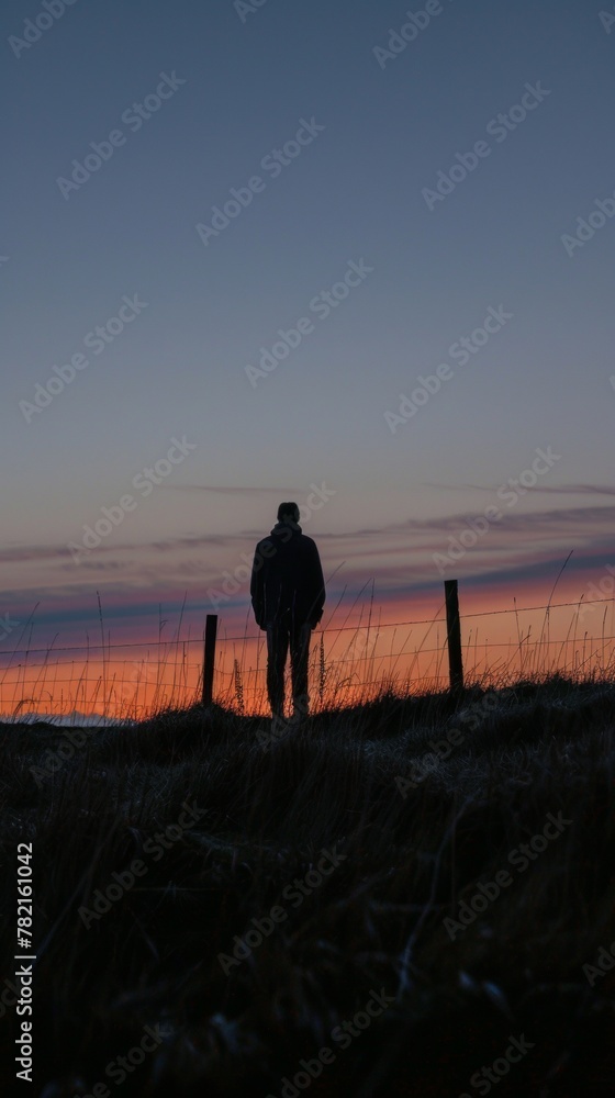 Silhouette of a person in a field at sunset, looking upwards