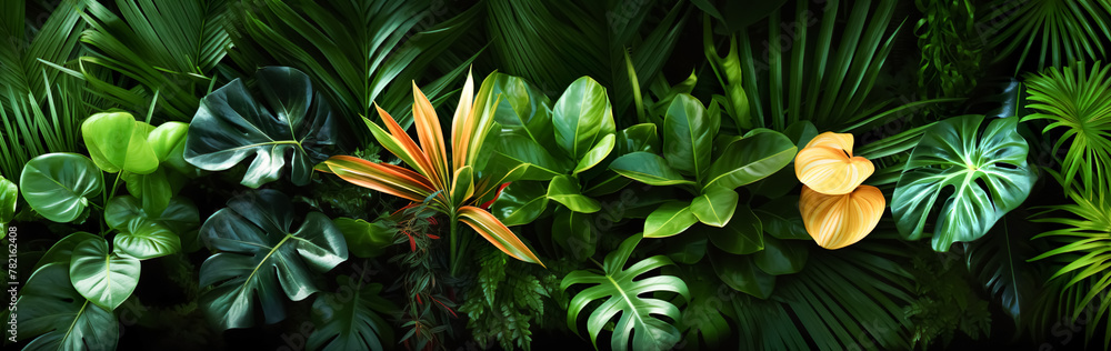 Obraz premium Various of beautiful tropical floral plant decoration.botany greenery in luxurious style.beautiful leaves nature wallpaper design background.