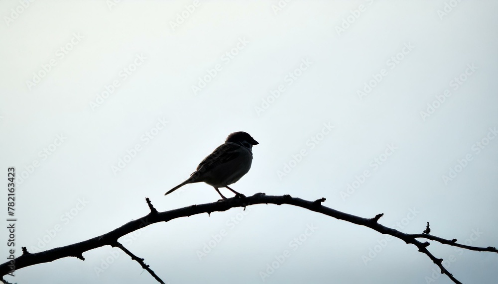 A single, delicate sparrow perched on an empty branch, depicted with simple lines against a pale sky-blue background, highlighting the bird's grace and the elegance of simplicity. A single, delicate sparrow perched on an empty branch, depicted with simple lines against a pale sky-blue background, highlighting the bird's grace and the elegance of simplicity.
