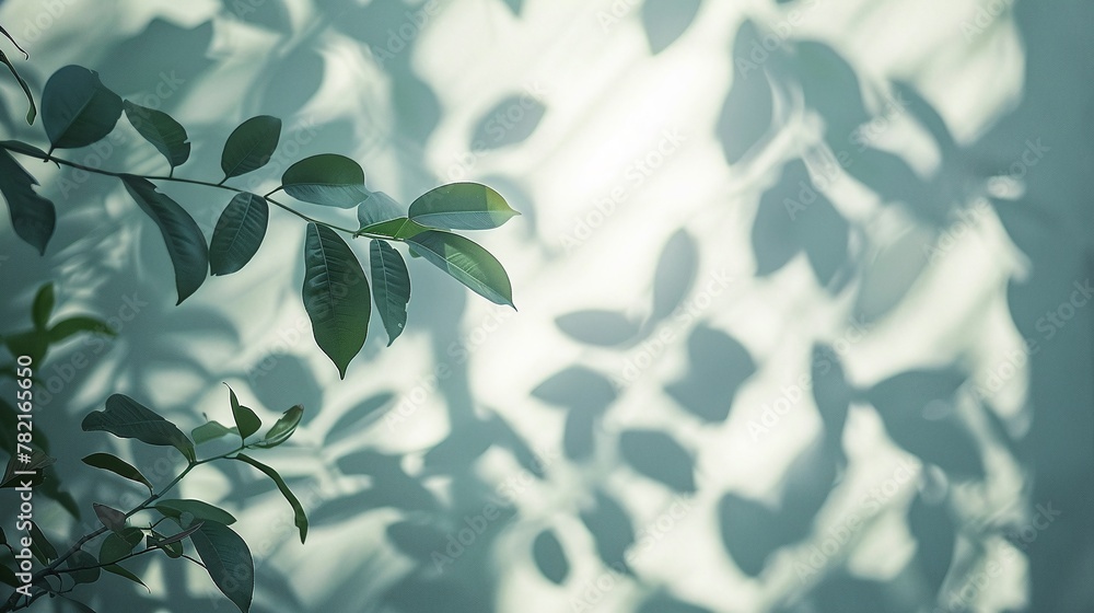 tropical tree branch and leaves casting a soft abstract silhouette shadow on the white wall, capturing the morning sunlight's play on the foliage, creating a calming nature effect tropical tree branch and leaves casting a soft abstract silhouette shadow on the white wall, capturing the morning sunlight's play on the foliage, creating a calming nature effect