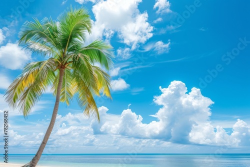 Tropical beach palm trees with abstract background of blue sky and white clouds. Copy space for summer vacation or business trip concept..