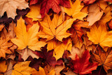 Vibrant Autumn Leaves Background - A Tapestry of Fall Colors