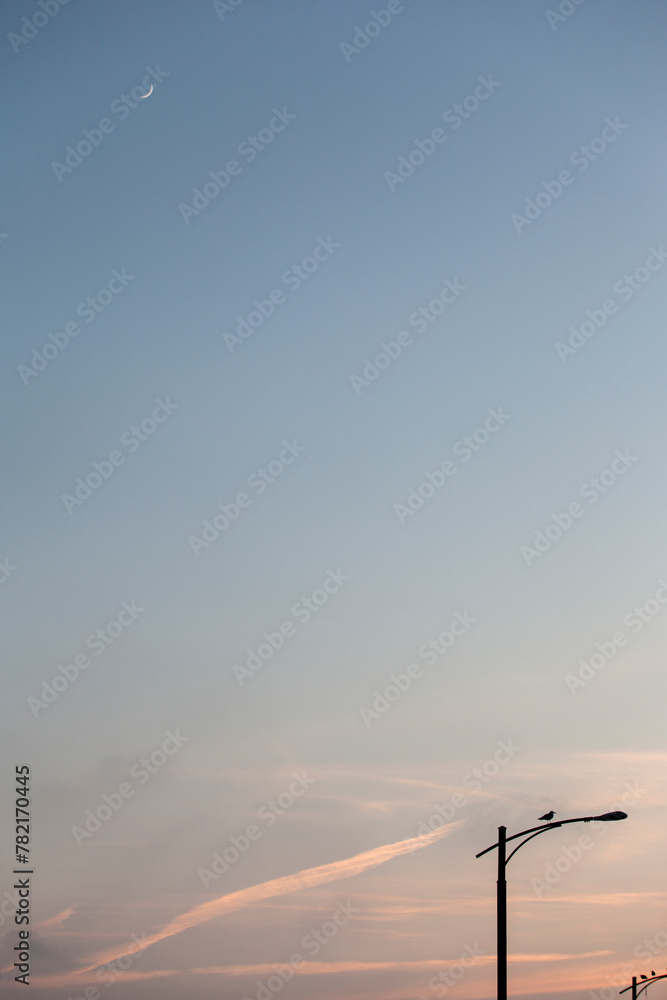 the moon and the street lamp in the sky during sunset
