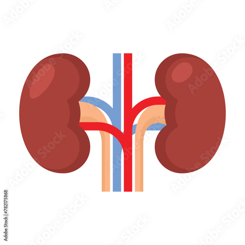 Kidney Renal on White Background. Vector