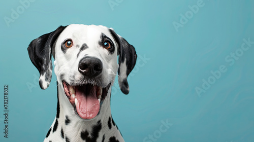 Studio portrait of a dalmatian dog with a happy face, on pastel blue background ©  Mohammad Xte