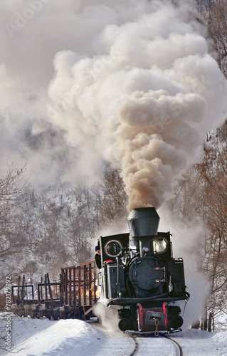 Krauss Steam Train in Romania used for travel and wood transport 