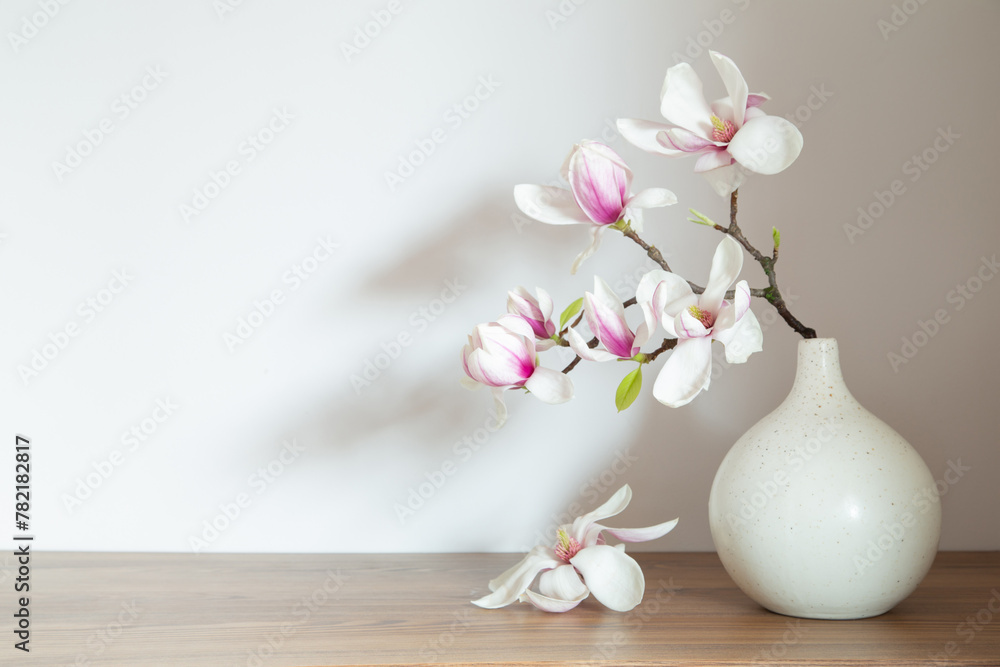 magnolia flowers in vase in white background magnolia flowers in vase in white background