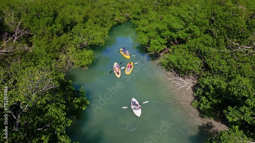 Family Kayaking Kayak in the Florida Keys in the Mangrove Forest Wetlands