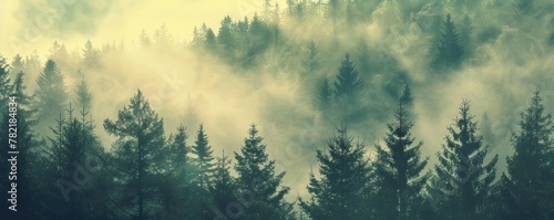 Misty green forest. Foggy landscape