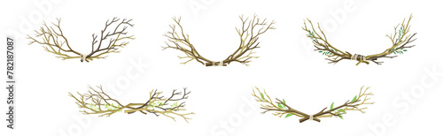 Bare Tree Branch Entangled in Semi Circle Vector Set