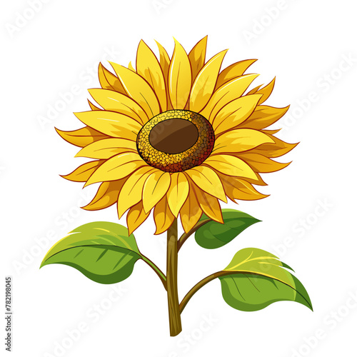 Sunflower flower with seeds, botanical floral design element