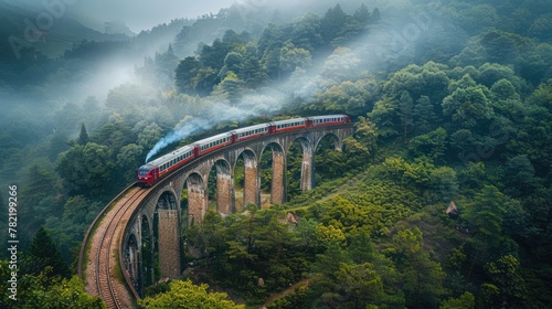 Train on the bridge in the jungle forest