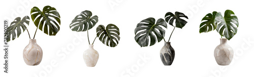 Monstera in a vase marble, perfect for interior design on transparent background