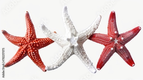 Three vibrant starfish on a clean white background, perfect for beach-themed designs © Fotograf