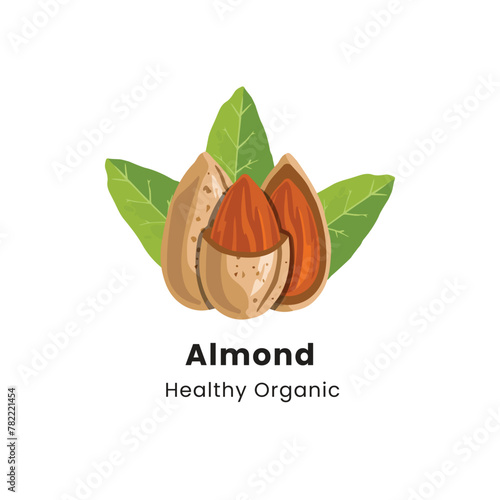 Hand drawn vector illustration of almond nuts