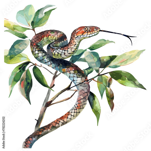 Watercolor Vector painting of a Snake, isolated on a white background, Snake vector, Snake clipart, Snake art, Snake painting, Snake Graphic, drawing clipart.