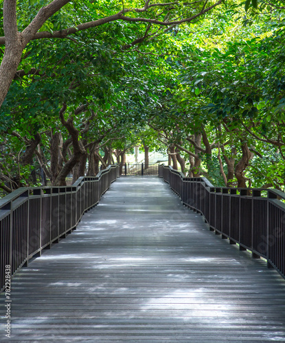 Foto the boardwalk with trees beside