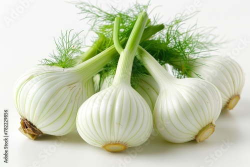 Fennel on white background with backlight