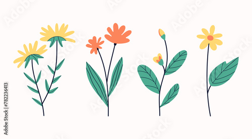 Botanical set of garden floral plants. flowers isolated on white background. Colorful flat vector illustration