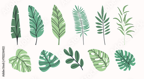 vector tropical design with monstera palm leaves on white background. Exotic Hawaiian fabric design.