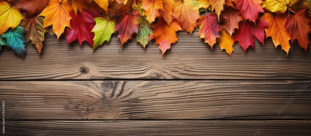Autumn leaves on wooden surface Autumn leaves on wooden surface
