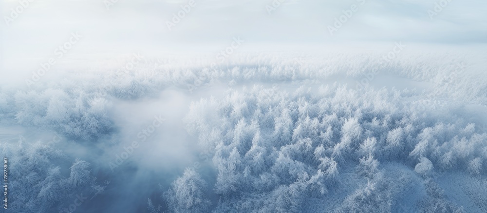 Aerial View of Snow-Covered Forest in Fog Aerial View of Snow-Covered Forest in Fog