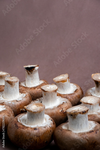 Fresh Portobello mushrooms against a rich brown background. Perfect for culinary or nature-themed designs.