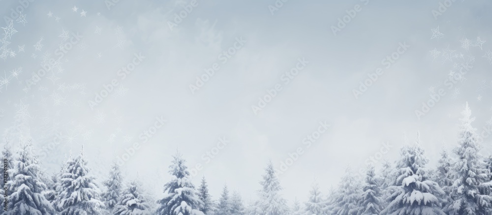 Snow-covered forest under blue sky Snow-covered forest under blue sky
