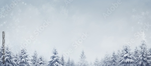Snow-covered forest under blue sky