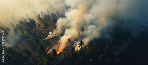 Fire spreading through dry forest as seen from above