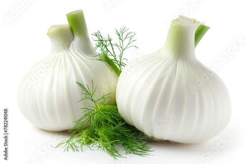 Two fennel bulbs with leaves on white background photo