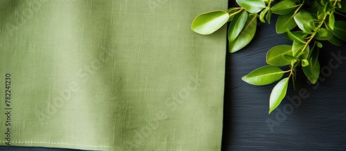 Natural plant on green napkin photo