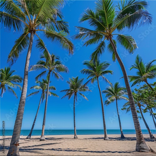 A serene tropical escape  Summer palm trees sway gently over a pristine beach under a clear blue sky  embodying the ultimate vacation vibe