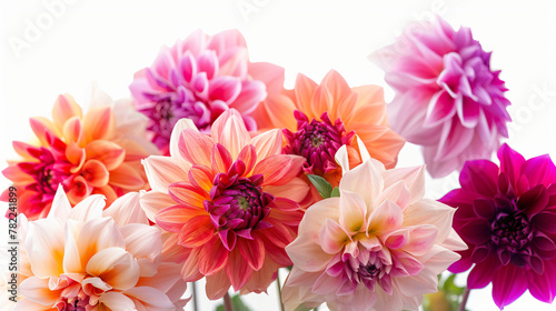 A bouquet of dahlias with lifelike colors against
