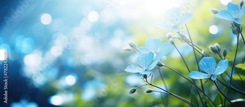 Blue flowers bloom amidst green grass