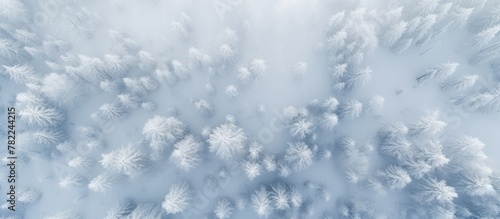 Aerial view of snow-covered woodland