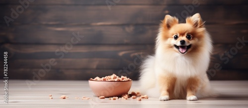 Dog adoring bowl food wooden floor