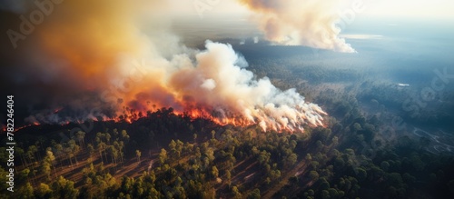 Plane aerial view forest fire photo