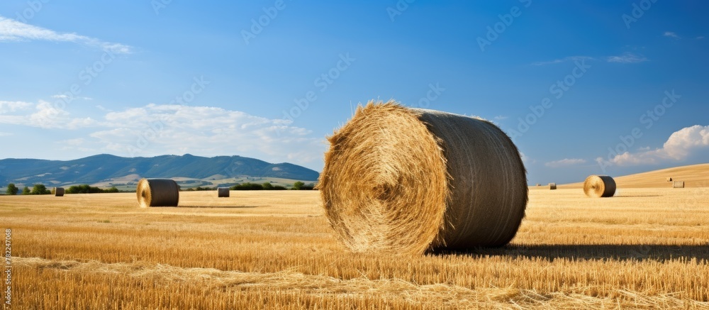 Bales on field, mountains backdrop