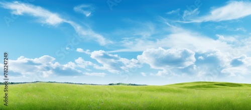 Beautiful landscape of green field under blue sky with fluffy clouds