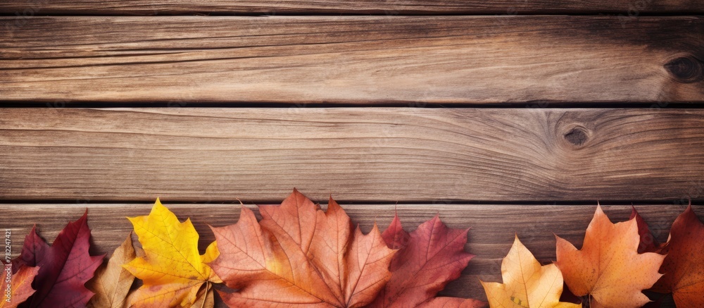 Group of fall leaves on wooden surface Group of fall leaves on wooden surface
