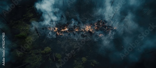 Forest fire blazing amidst trees
