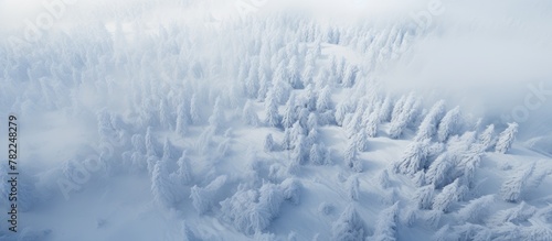 Skiers skiing snowy mountain trees background
